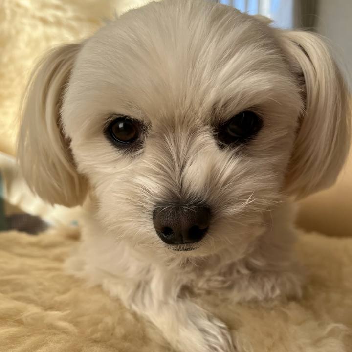 05526807 4df1 4551 bdbb 2b87097a97d0 1668773647254