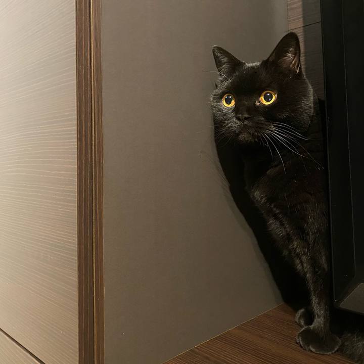 05526e3f 1f67 477d a55b 208feb3616a0 1734265953900