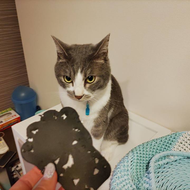 0552a1cf ac1c 417d bdca e8cbc4a2caf8 1654423442044