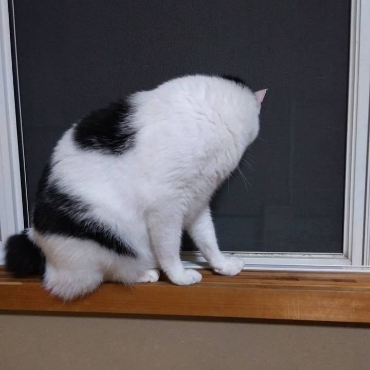 0552aba1 e297 4869 84f7 352cd4935eda 1530098000305