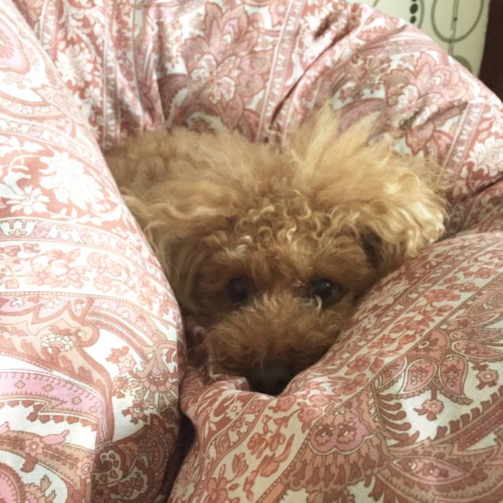 0552d022 04b2 4dfe 92dd 1131b91a7e56 1507699645433