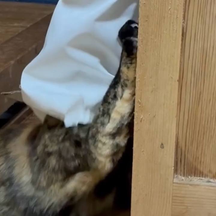 0552d561 2f4f 4298 863b 1a5afc1895b7 1770986511834