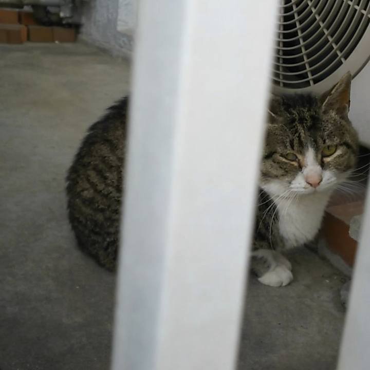 0552e1fb 515c 4998 97cb 49232d14249f 1553680787801