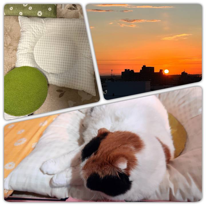 0552fa84 de3a 4089 a149 500c2ed106de 1731361247822