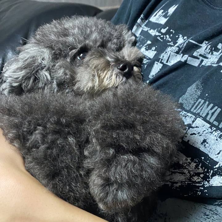 0552fb13 ec91 4ae4 b7ec e302f950ef1b 1632980606744