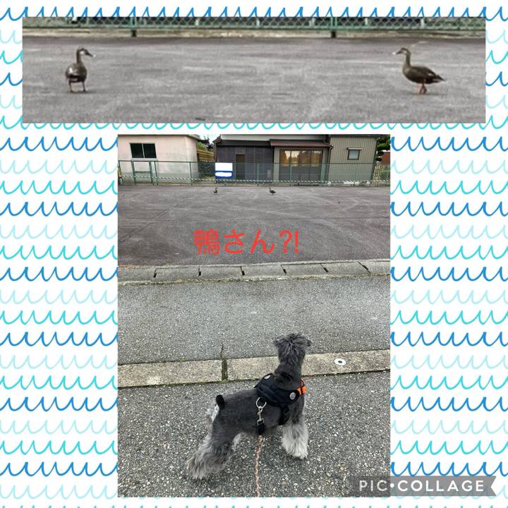 05531509 6bd9 4d37 9863 c7a788fde83d 1720229622080