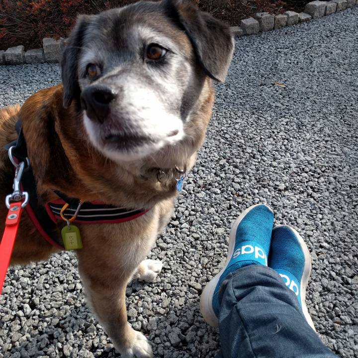 05533989 0d3d 483b 97b2 0e020098a678 1552348625034