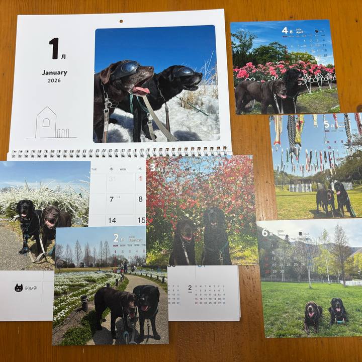 05535765 3041 42f6 a21d 2591224afcd9 1767158952560