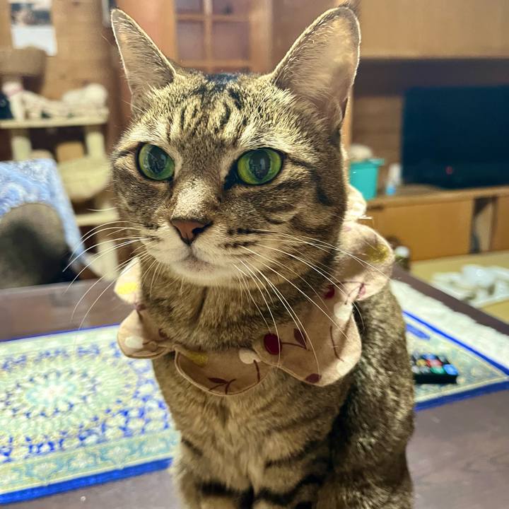 05536c53 75d3 4d63 963d 787f0ba87620 1708432836385