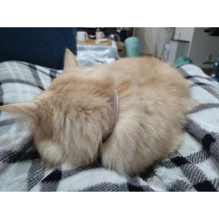 0553fe89 4b8c 4704 ba01 dafeba92ae52 1736116271546