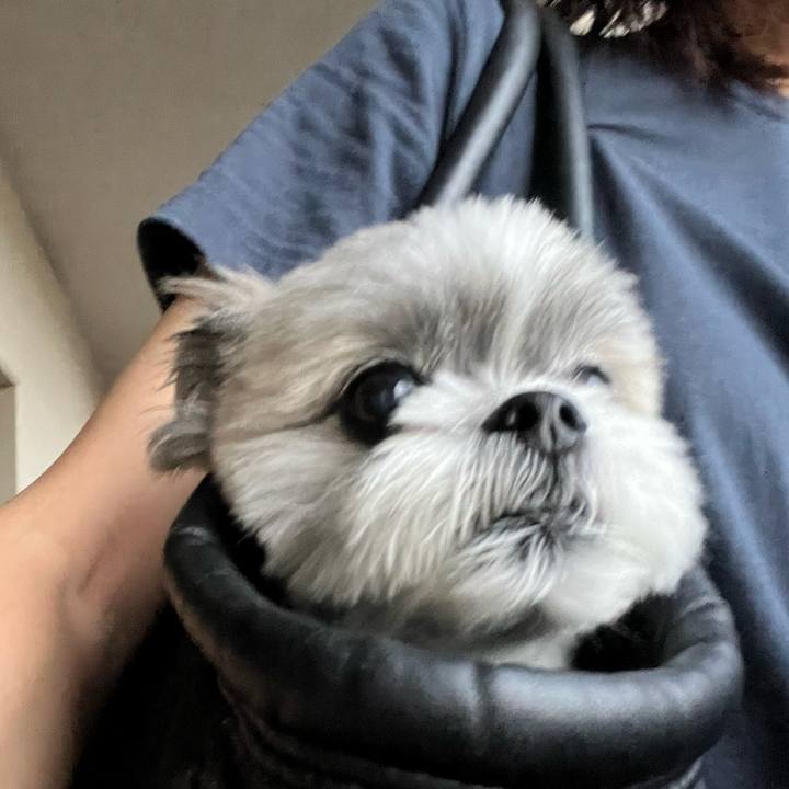 05541940 9627 4786 bcdd ecf77e6f3213 1727169224581