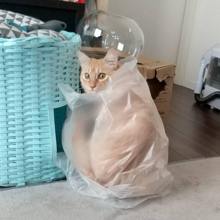 05542512 e11a 4fcd ad7d ebba68134d9c 1645771180804