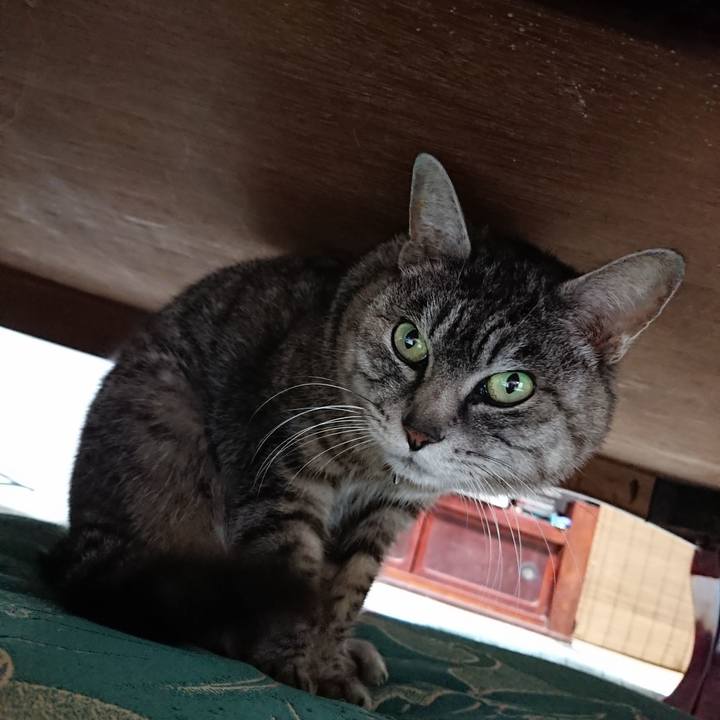 05542cc8 4366 427d b503 79344d513cf3 1553076449017