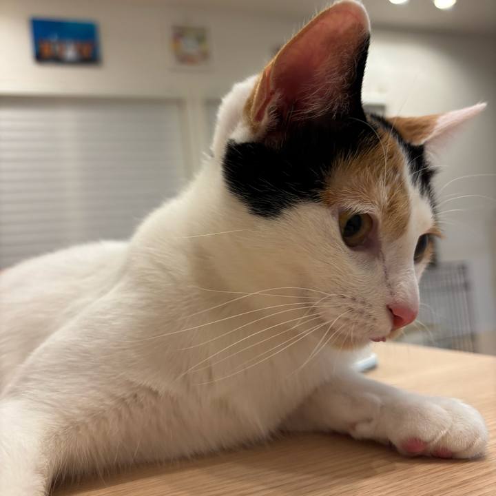 05545245 8944 4b21 ba7b c5eeb825f19d 1769436883814