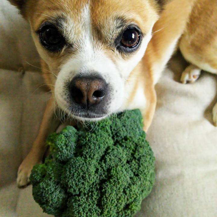 05546195 d28b 4c6d bb6c 6703971831ae 1617139166232