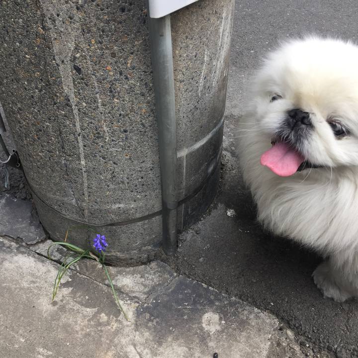 0554847e c9e4 4fc1 90ca ed0578352452 1553736501618