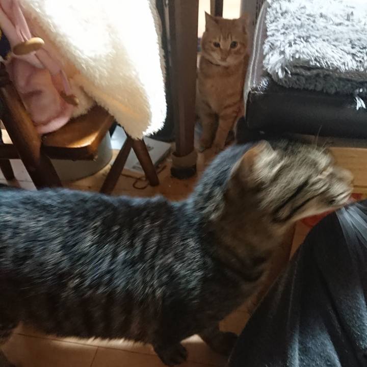 05549fc8 50bc 4e3f 9b02 856b9fb370f9 1636624039598