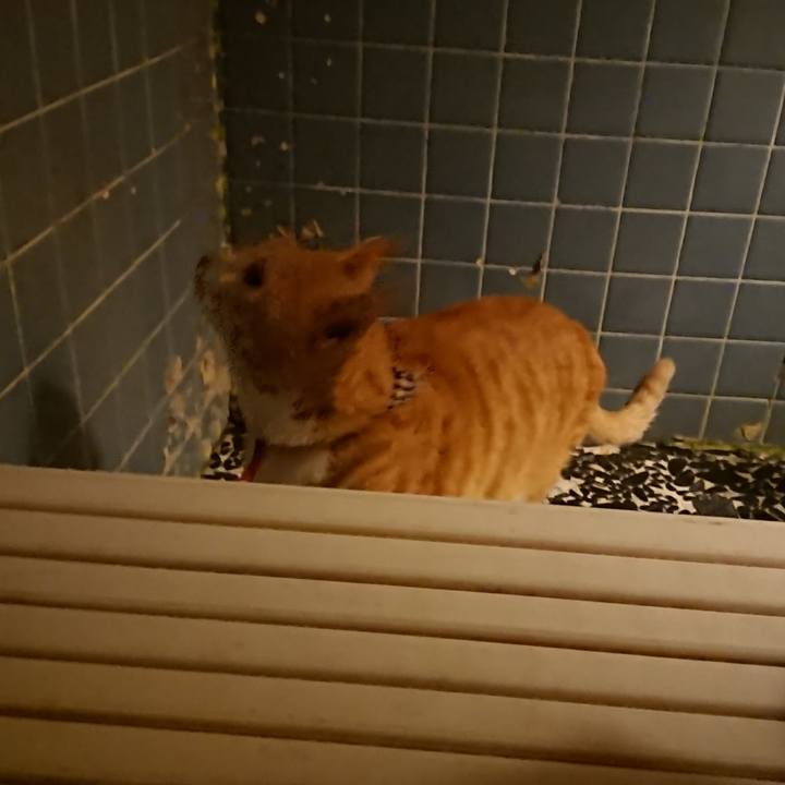 0554d794 0f4f 4f41 af2d e074b06f256e 1574673083586