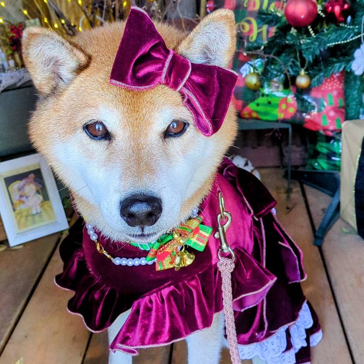 05551faf a9b6 4fce 9acb 74aa9da30b33 1764993755984