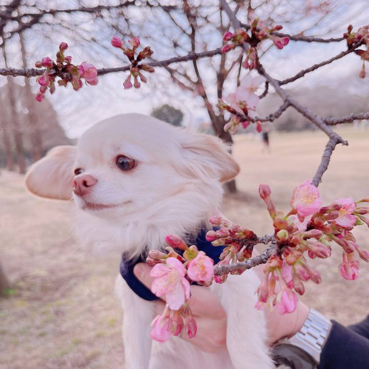 05553756 d04e 45c4 a491 aca2540ee05a 1676793297995