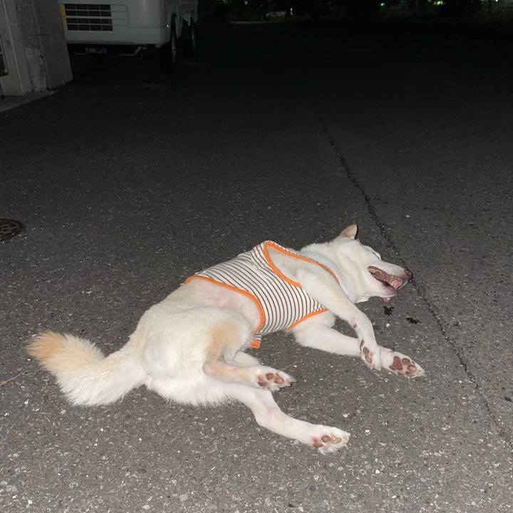 0555499f 2bf3 4622 bd09 9202d1fb1fdb 1660412270384