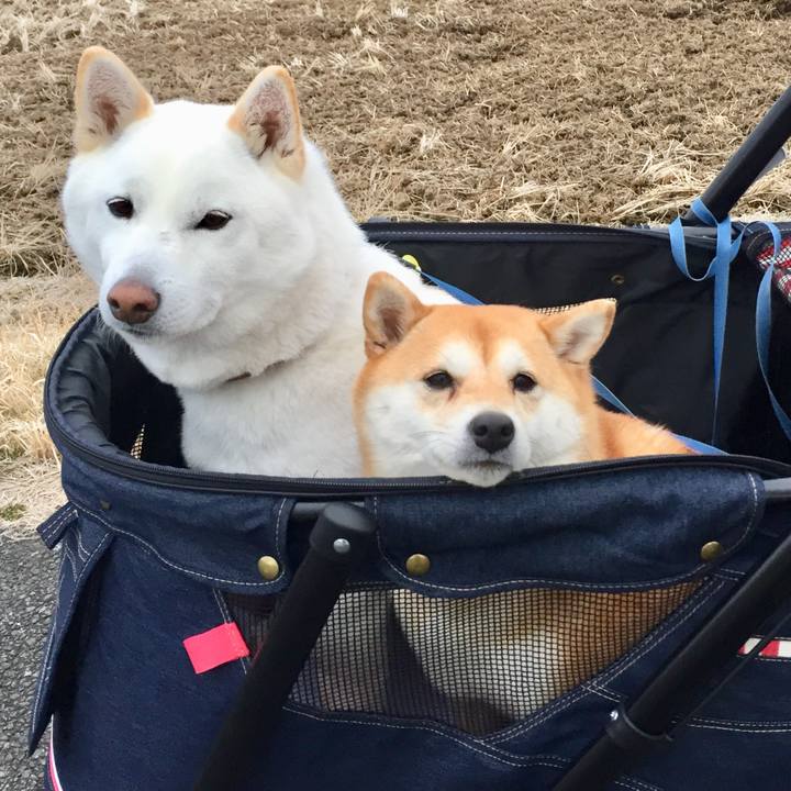 055576aa ffef 4ffc 82fc c81b2df528dc 1518875031982