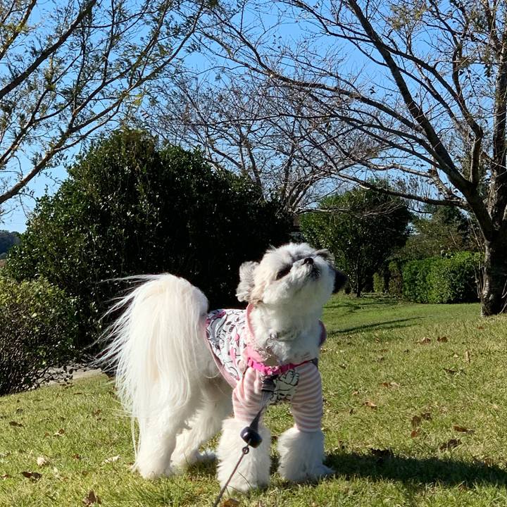 05559001 2761 4046 bc4c fe5703f49755 1573544440970