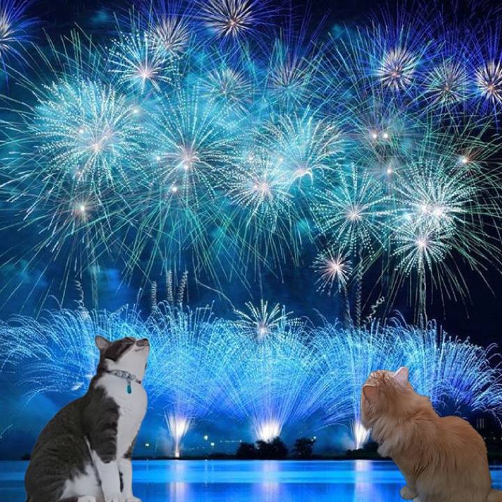 0555d550 dfd5 43a9 abe1 81bbc7a0b733 1724589868741