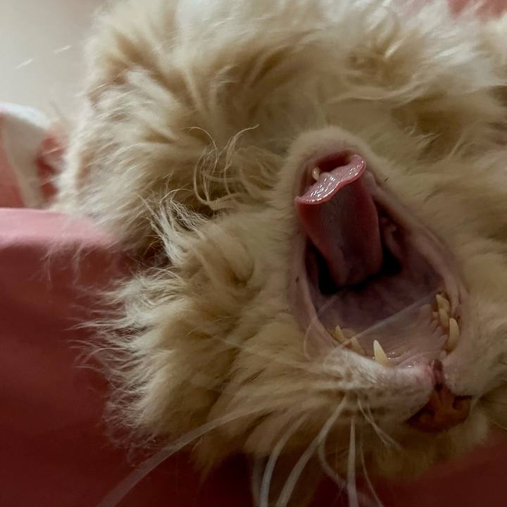 05560b27 1534 4c42 a11f e8ef31a62366 1766841343586