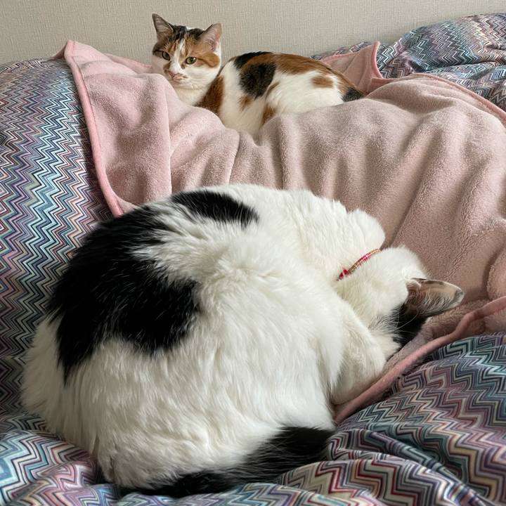 0556398e 7e74 4e6b 85a5 996f1f8dc558 1611484592544