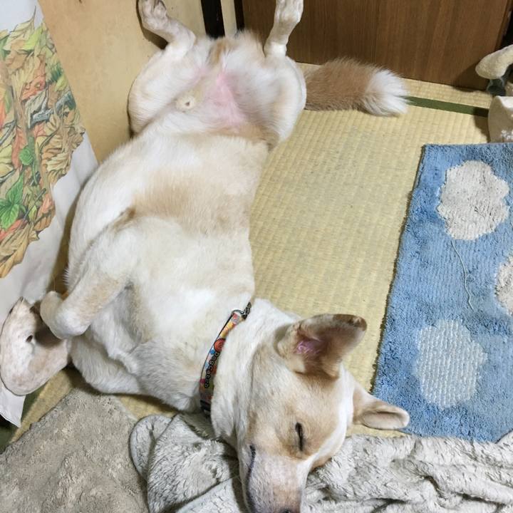 05564879 c552 422b 86ed 5657f75f5a3a 1509104992080