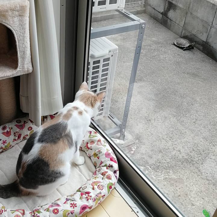 05564ec8 46cb 41f4 9119 0098ed8a2209 1590374548610