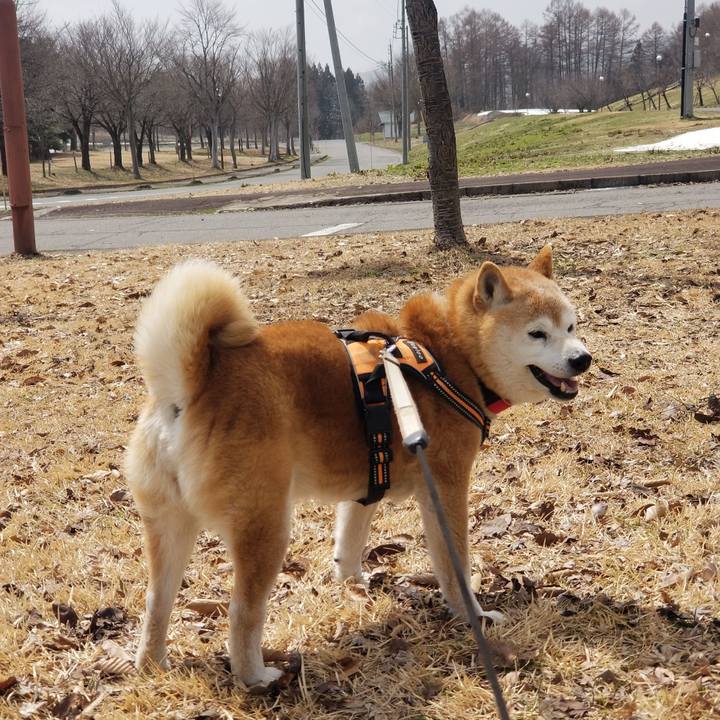 05565abc 648b 4301 9598 ca32fa3bd3f6 1711765083511