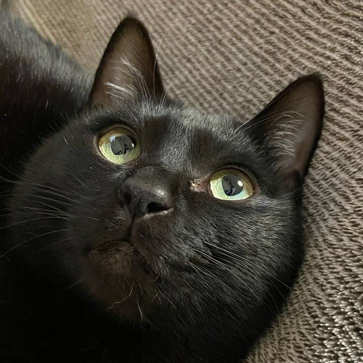 05565ad3 d3dc 4e28 b093 296c639f53be 1644405277141