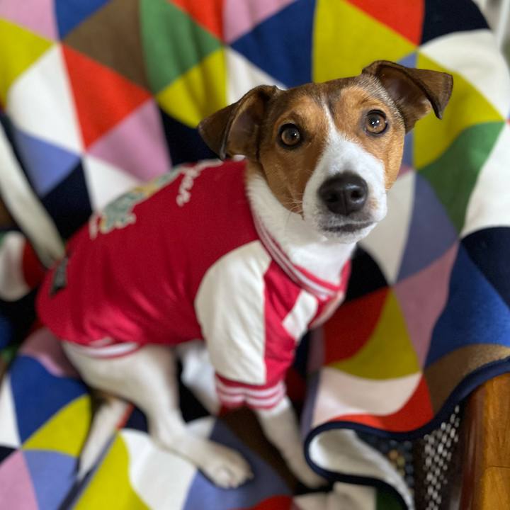 0556e4b0 852a 4a26 b820 64791817dd69 1735710574009