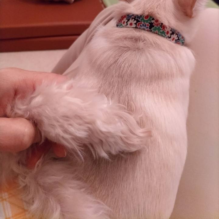 05570bce 8435 4a19 b462 83ce445dca1c 1732477117590