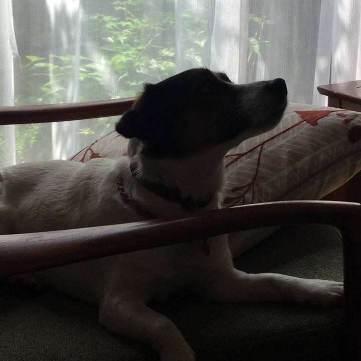 055727be c849 4251 824c b3096aa30420 1526434083621