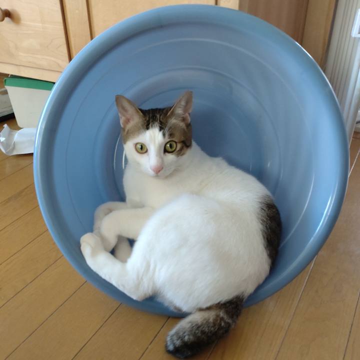 05573240 792a 43ec ba30 bab9518adb24 1679190502703