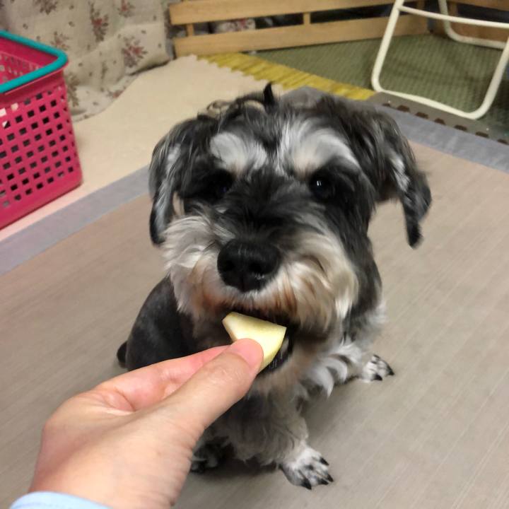 0557357d 7475 4aa6 abe1 8ffc9e348ce7 1632139229433