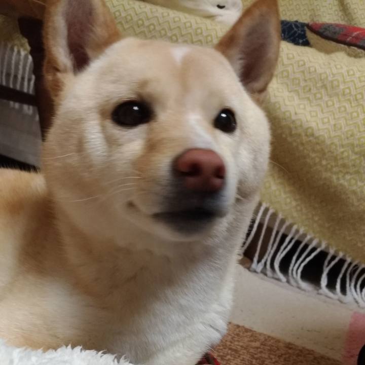 055774d7 d8ea 4a22 a14d ec78bb379941 1552567430652