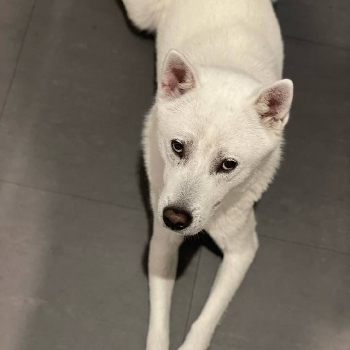 055775a7 a9ff 4ced 83d7 967af725905b 1719318104024