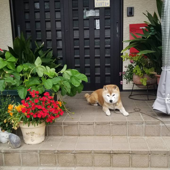 05579293 400f 44d5 a896 75d767326da8 1748571171521