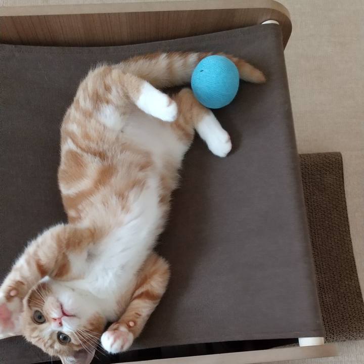 05579c32 38c5 487b 93d4 89fd202d442c 1622432585074