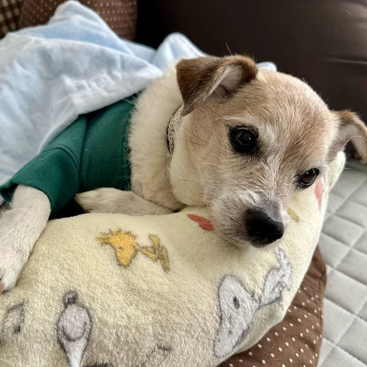 0557b675 1271 4a1b a07e 574f5ab3b251 1741777214263