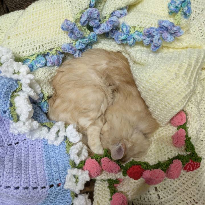 0557d4e7 9b5d 4fbc 99d6 852f3ec6dc31 1763825646278