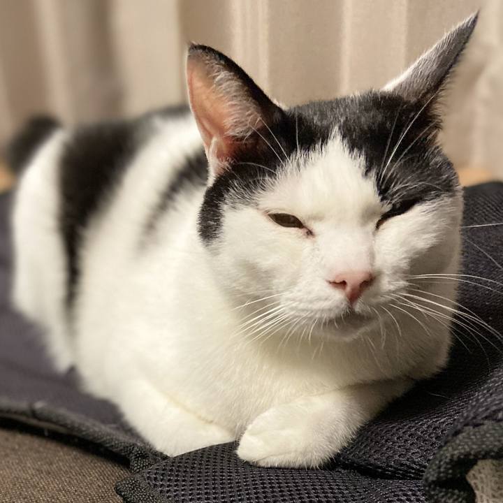 0557e313 1e7d 4837 9c94 1177c2d69efb 1570709425017