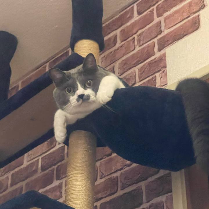 0557e829 962d 468b 94b7 13b679e2582f 1725209228234