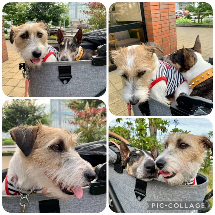 05583705 ef31 4fd5 a0cc e8d58a5d99c8 1622984165923