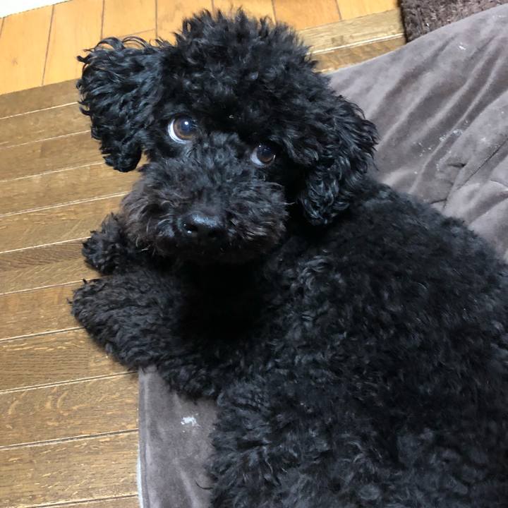 05585188 e3dc 435b 9b6a d494d965be01 1553464385625