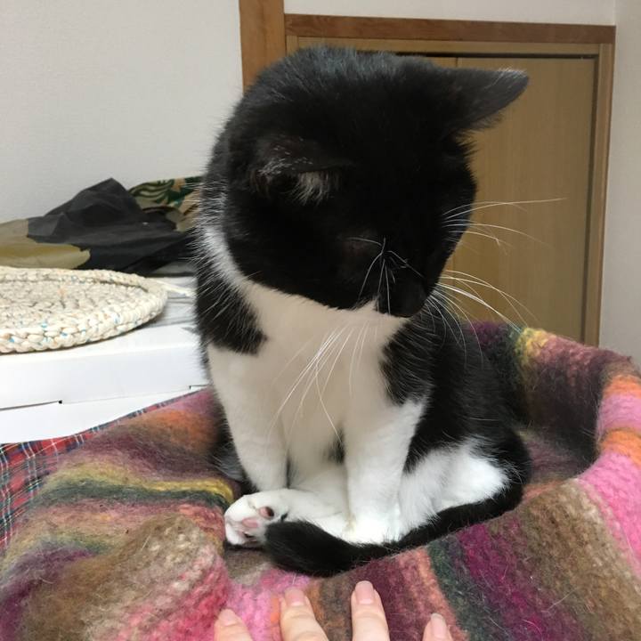 05585580 31e9 4a64 b0d3 4591a03f0615 1556205084087